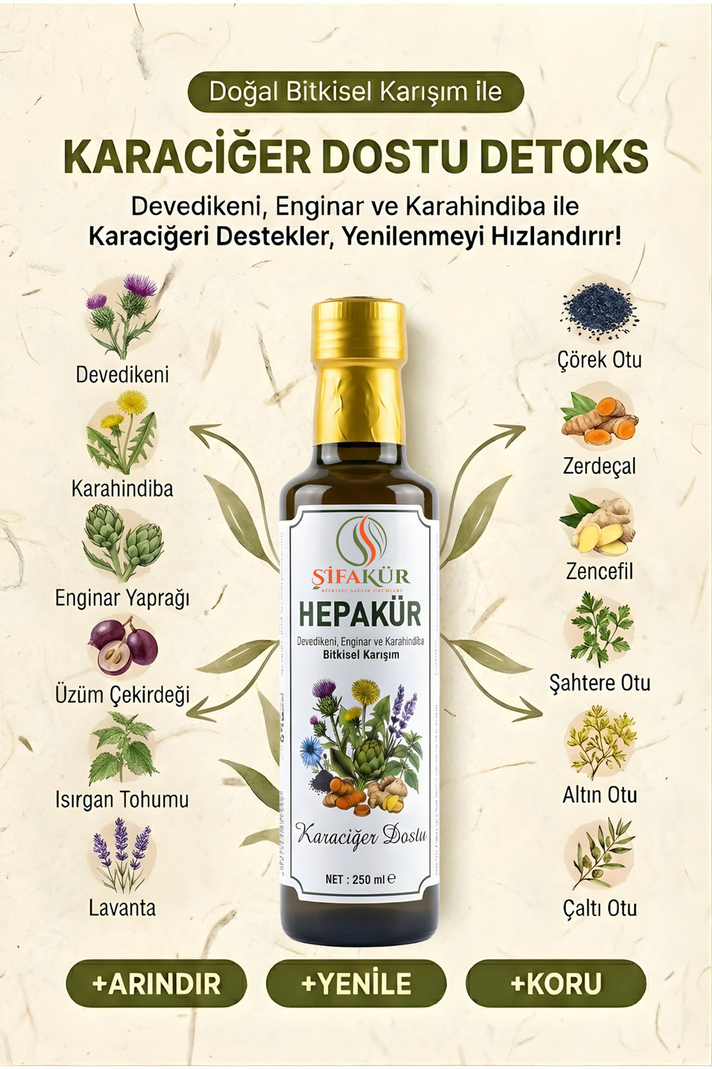 Şifakür Hepakür Sıvı Ekstrakt Devedikeni Enginar Karahindiba Karaciğer Desteği 250ml