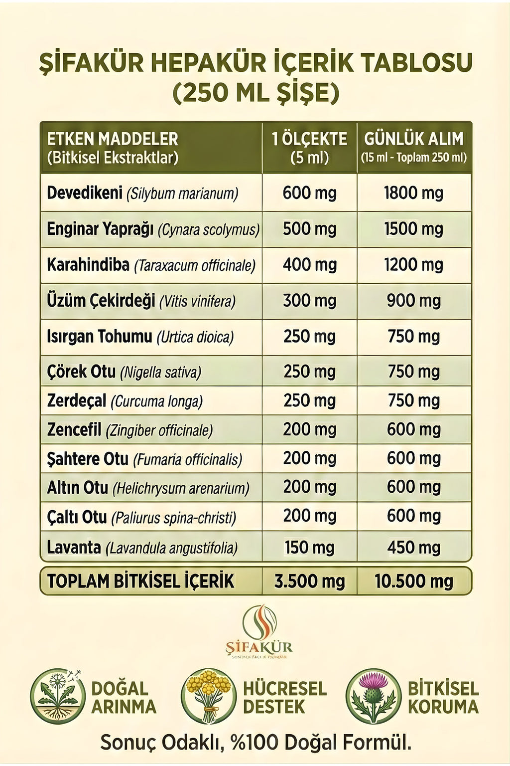 Şifakür Hepakür Sıvı Ekstrakt Devedikeni Enginar Karahindiba Karaciğer Desteği 250ml