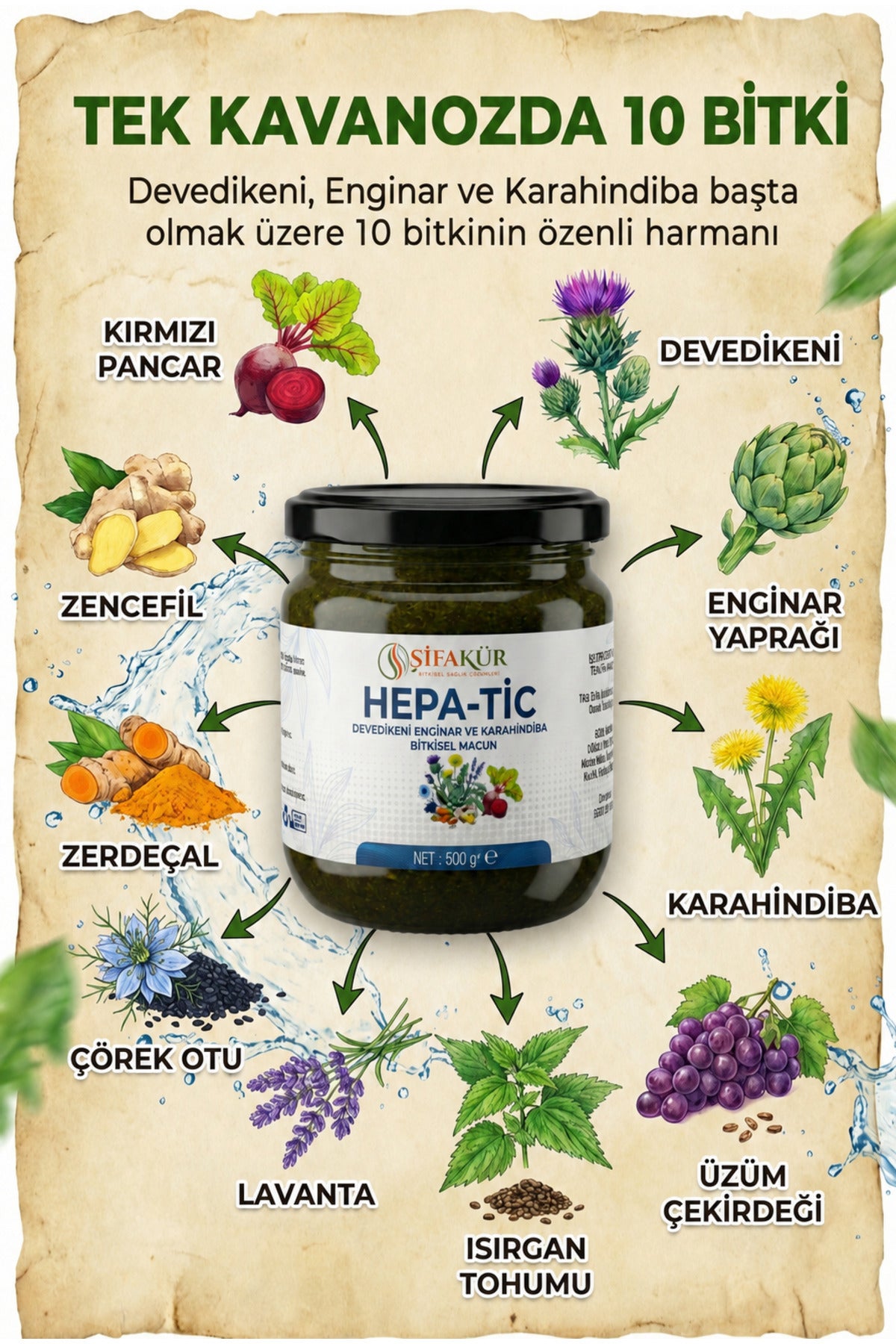 Şifakür Hepa-Tic Bitkisel Macun Devedikeni Enginar Karahindiba Ekstraktlı 500 gr