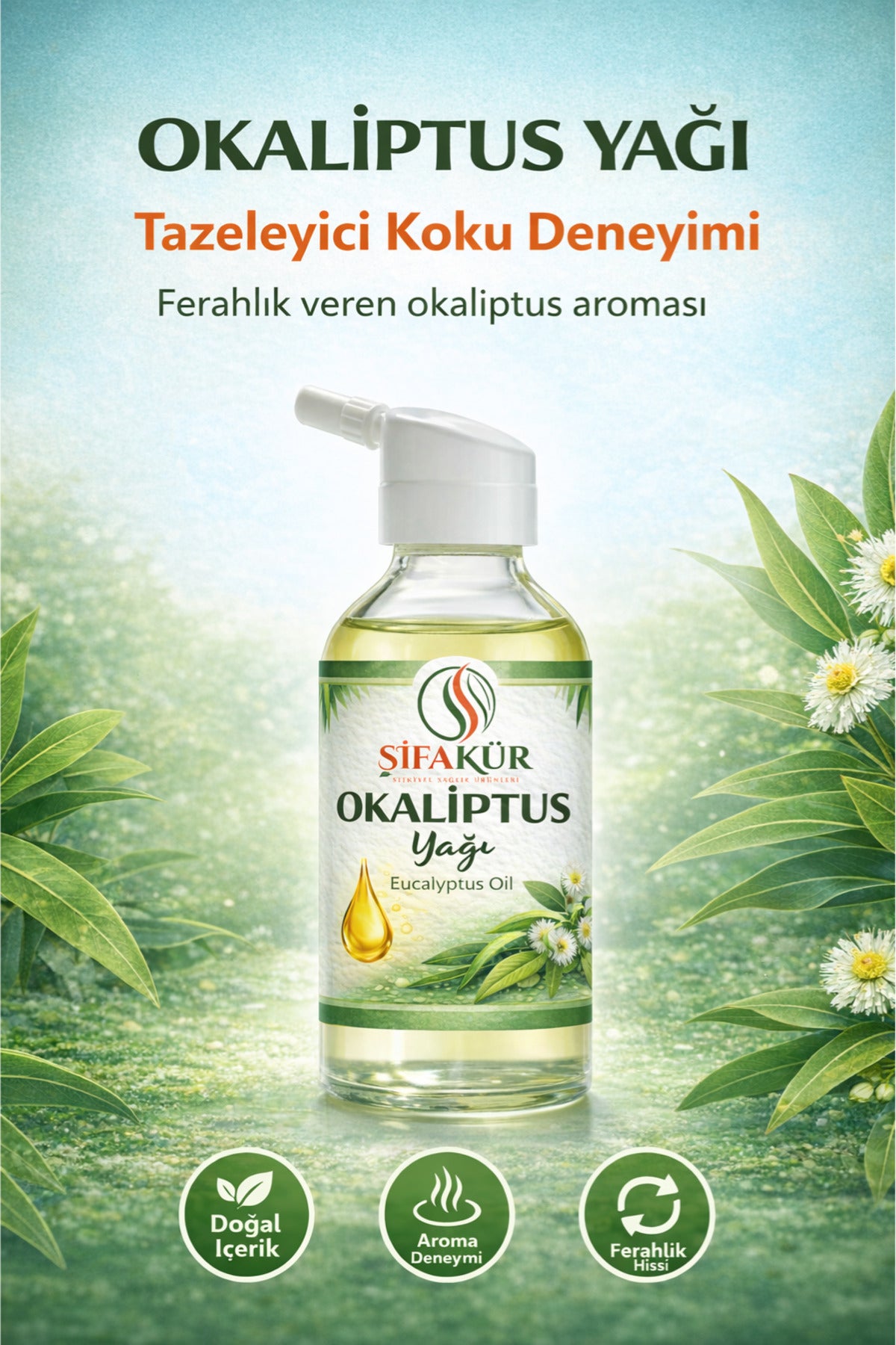 Şifakür Okaliptüs Yağı %100 Saf Doğal Aromaterapi Ortam Kokulandırma 20ml